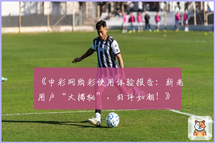 《中彩网购彩使用体验报告：新老用户“大揭秘”，好评如潮！》