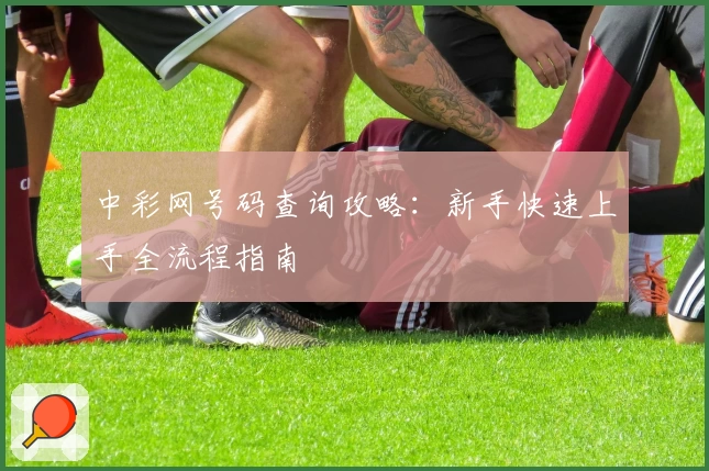 中彩网号码查询攻略：新手快速上手全流程指南