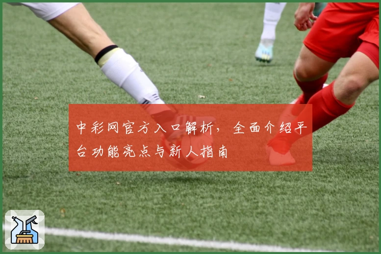 中彩网官方入口解析，全面介绍平台功能亮点与新人指南