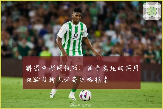 解密中彩网技巧：高手总结的实用经验与新人必备攻略指南