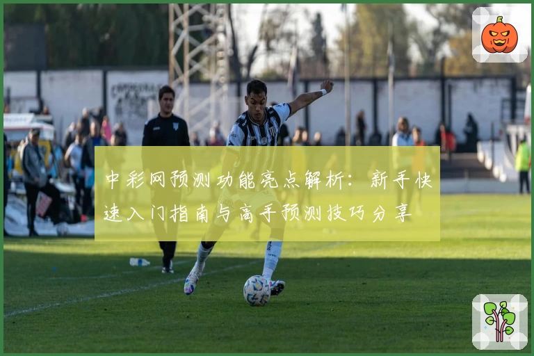中彩网预测功能亮点解析：新手快速入门指南与高手预测技巧分享