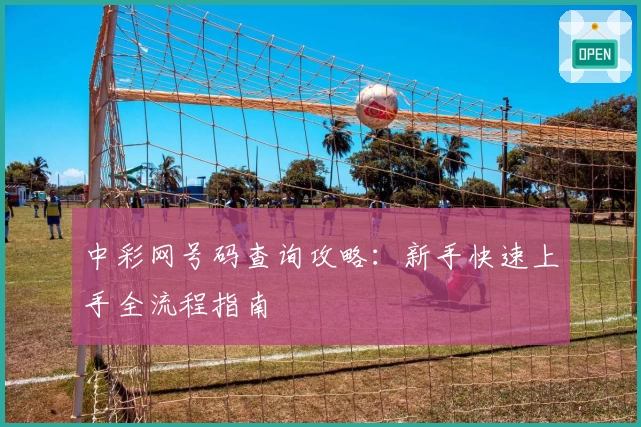 中彩网号码查询攻略：新手快速上手全流程指南