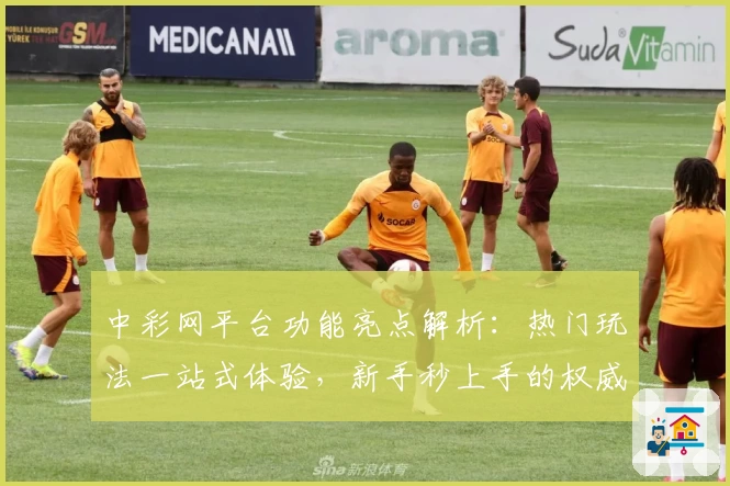 中彩网平台功能亮点解析：热门玩法一站式体验，新手秒上手的权威指南