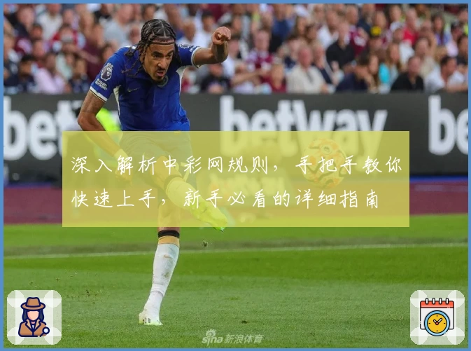 深入解析中彩网规则,手把手教你快速上手,新手必看的详细指南