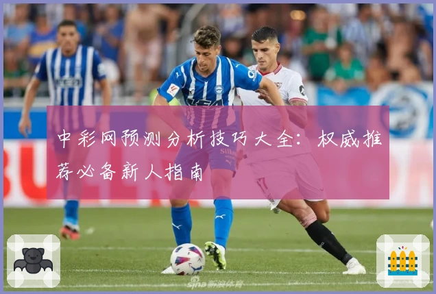 中彩网预测分析技巧大全：权威推荐必备新人指南