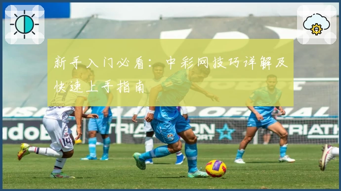 新手入门必看：中彩网技巧详解及快速上手指南